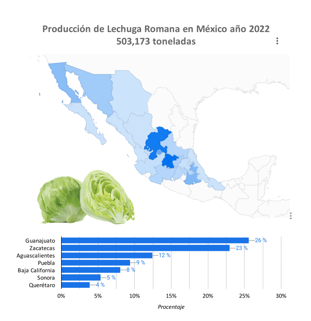 Producción Lechuga