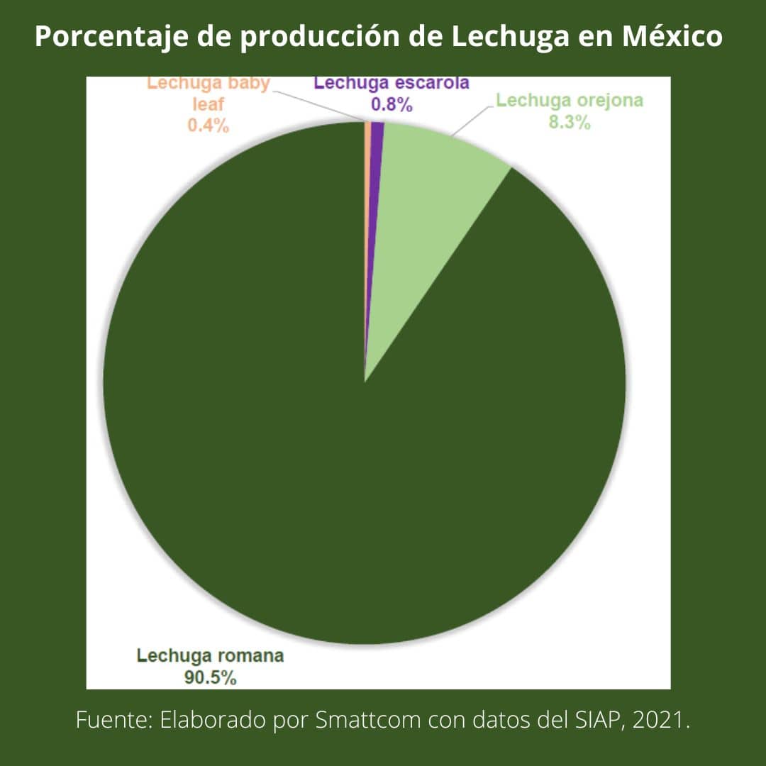 Consulta precios de Lechuga Romana y comercialízala en Smattcom