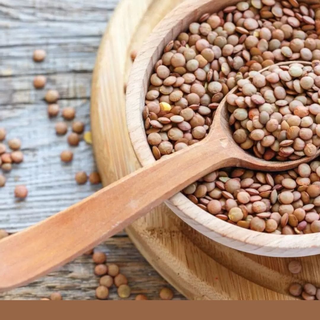 Consulta precios de Lenteja y comercialízala en Smattcom