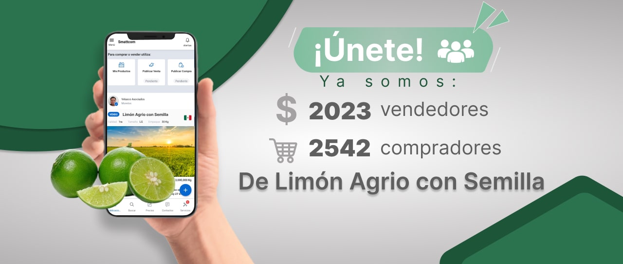 Consulta precios de Limón Agrio con Semilla y comercialízalo en Smattcom