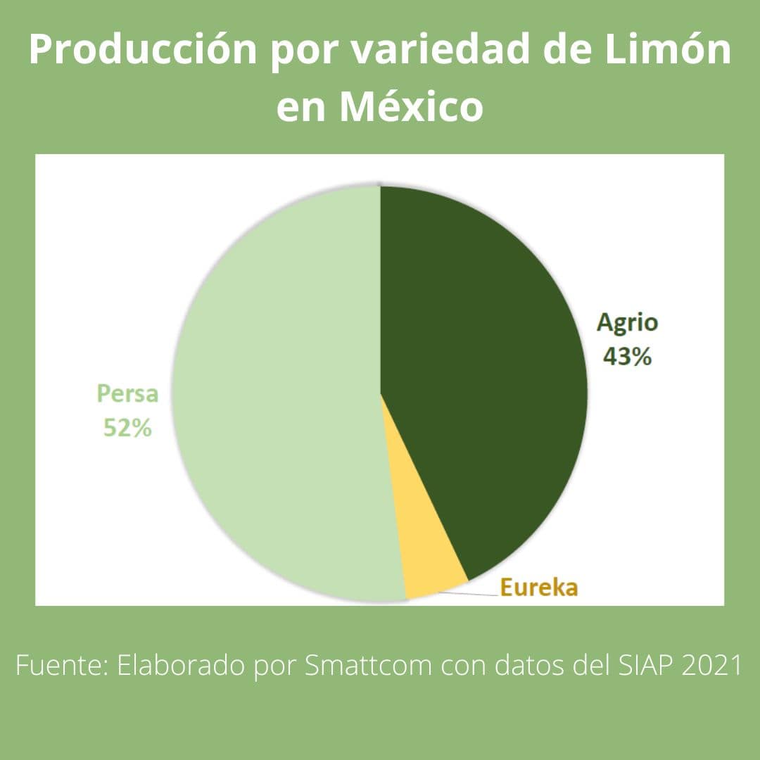 Consulta precios de Limón Agrio con Semilla y comercialízalo en Smattcom