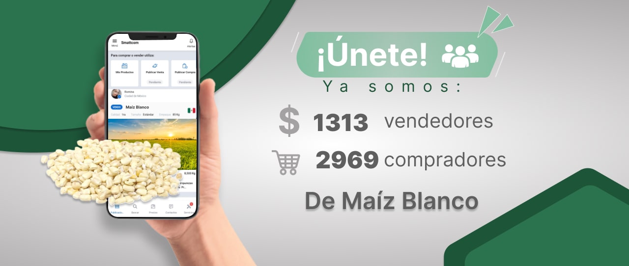 Consulta precios de Maíz Blanco y comercialízalo en Smattcom