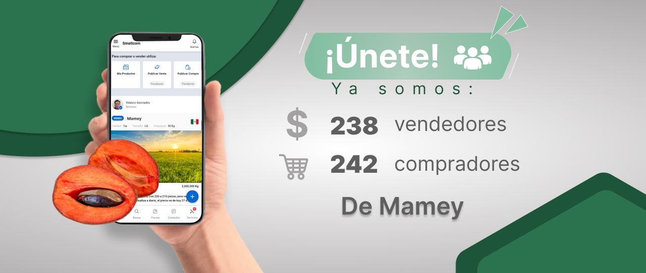 Consulta precios de Mamey y comercialízalo en Smattcom