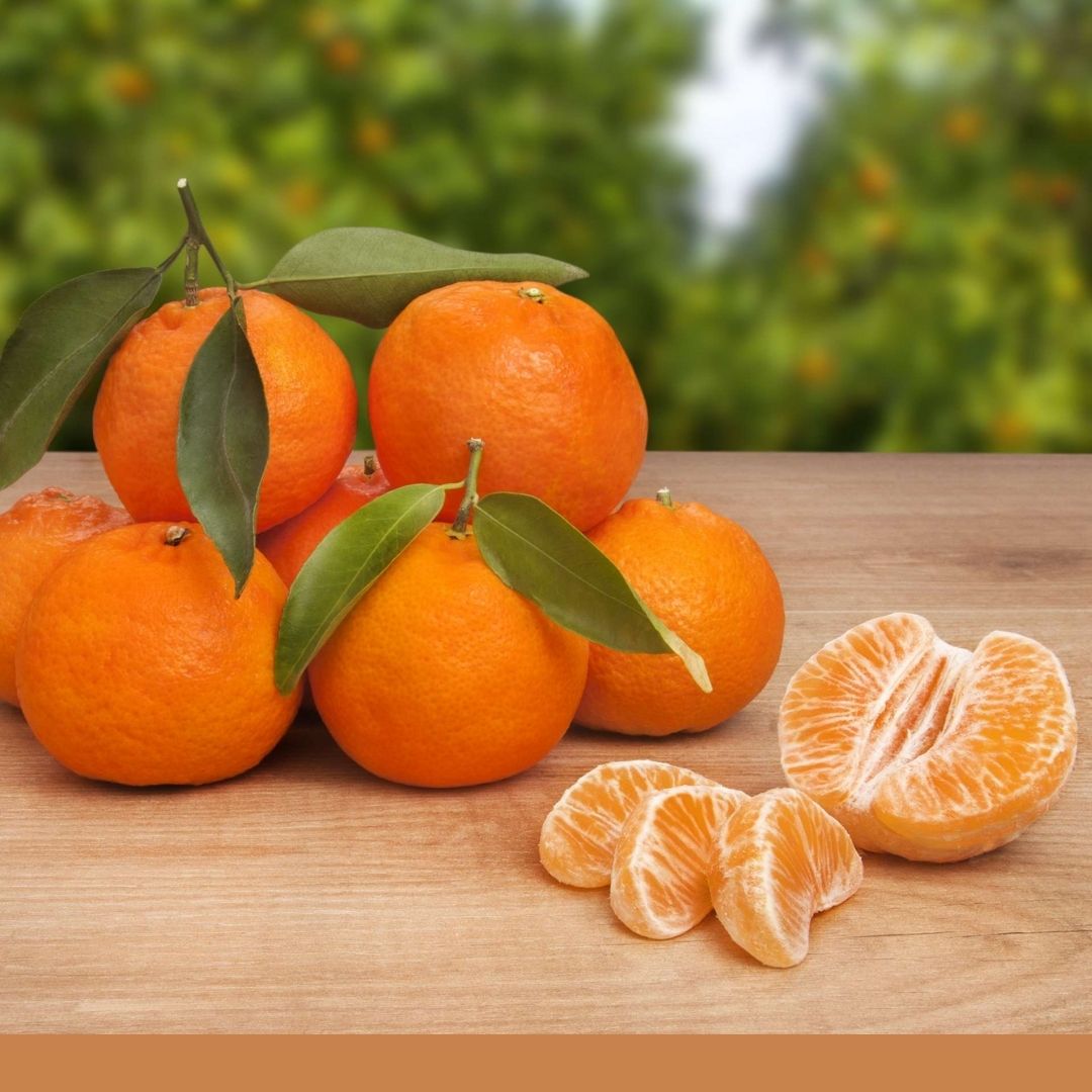 Consulta precios de Mandarina y comercialízala en Smattcom