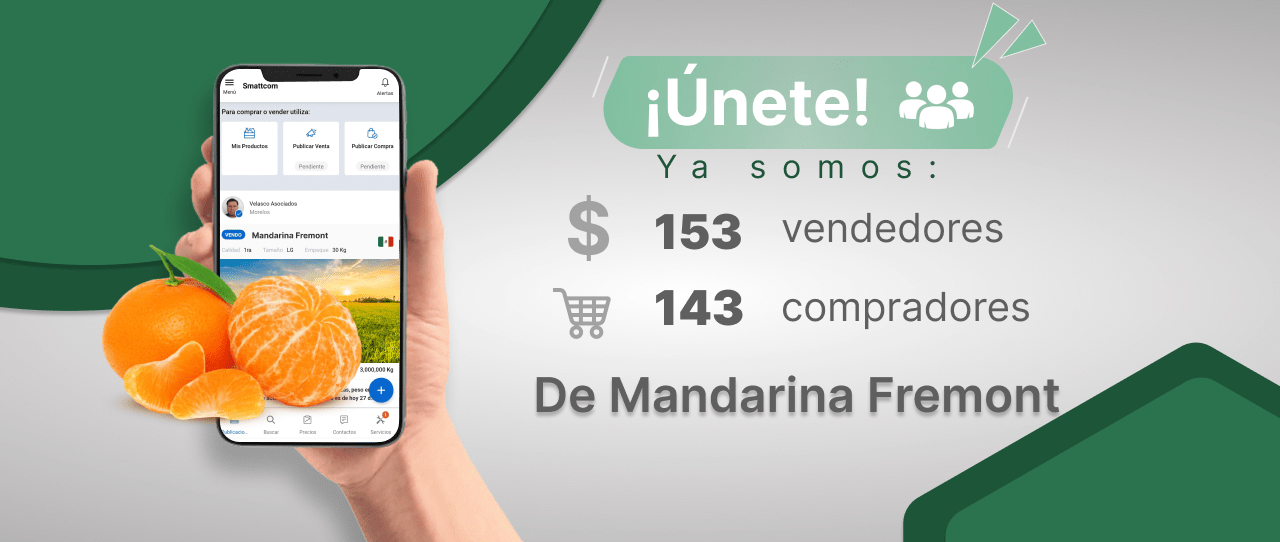 Consulta precios de Mandarina y comercialízala en Smattcom