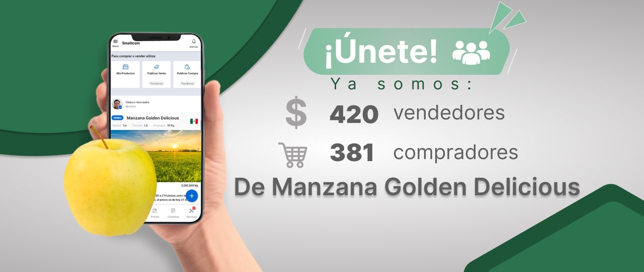 Consulta precios de Manzana Golden Delicious y comercialízala en Smattcom