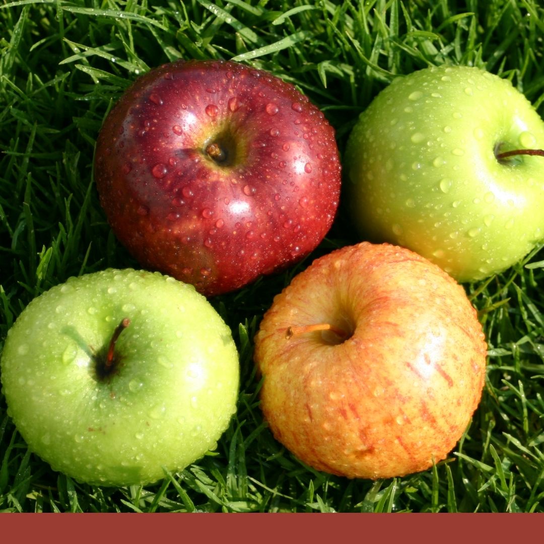 Consulta precios de Manzana Golden Delicious y comercialízala en Smattcom