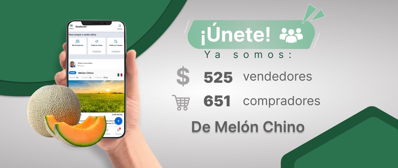 Consulta precios de Melón Chino y comercialízalo en Smattcom