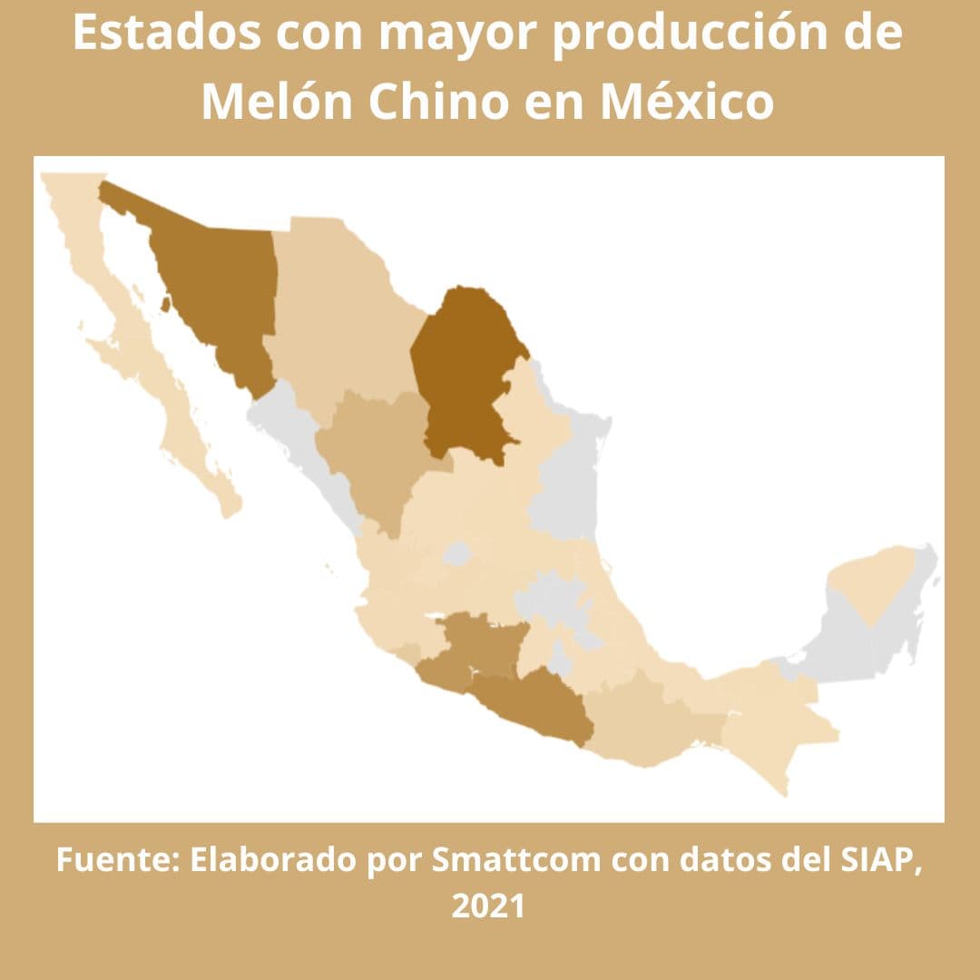 Consulta precios de Melón Chino y comercialízalo en Smattcom