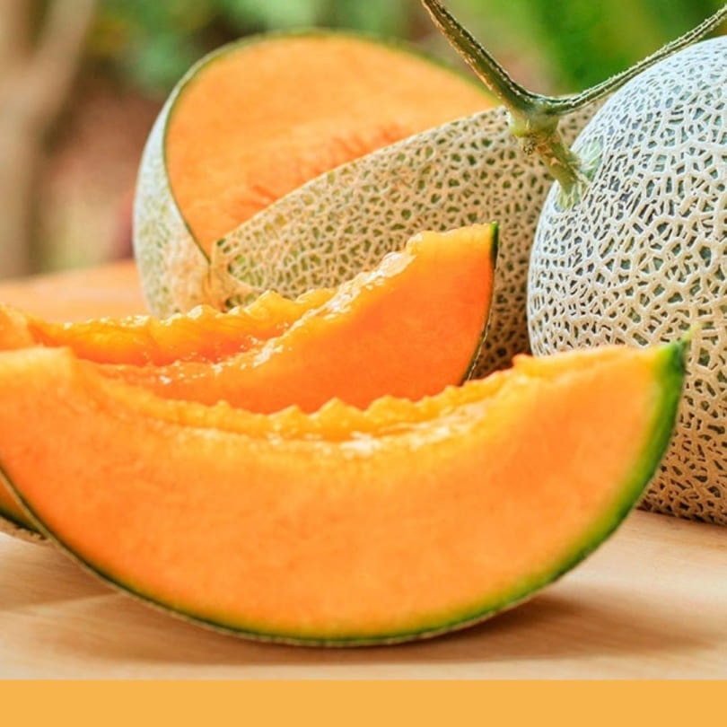 Consulta precios de Melón Chino y comercialízalo en