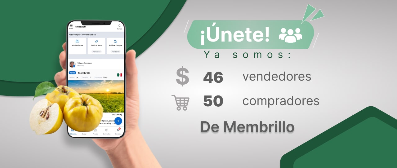 Consulta precios de Membrillo y comercialízalo  en Smattcom