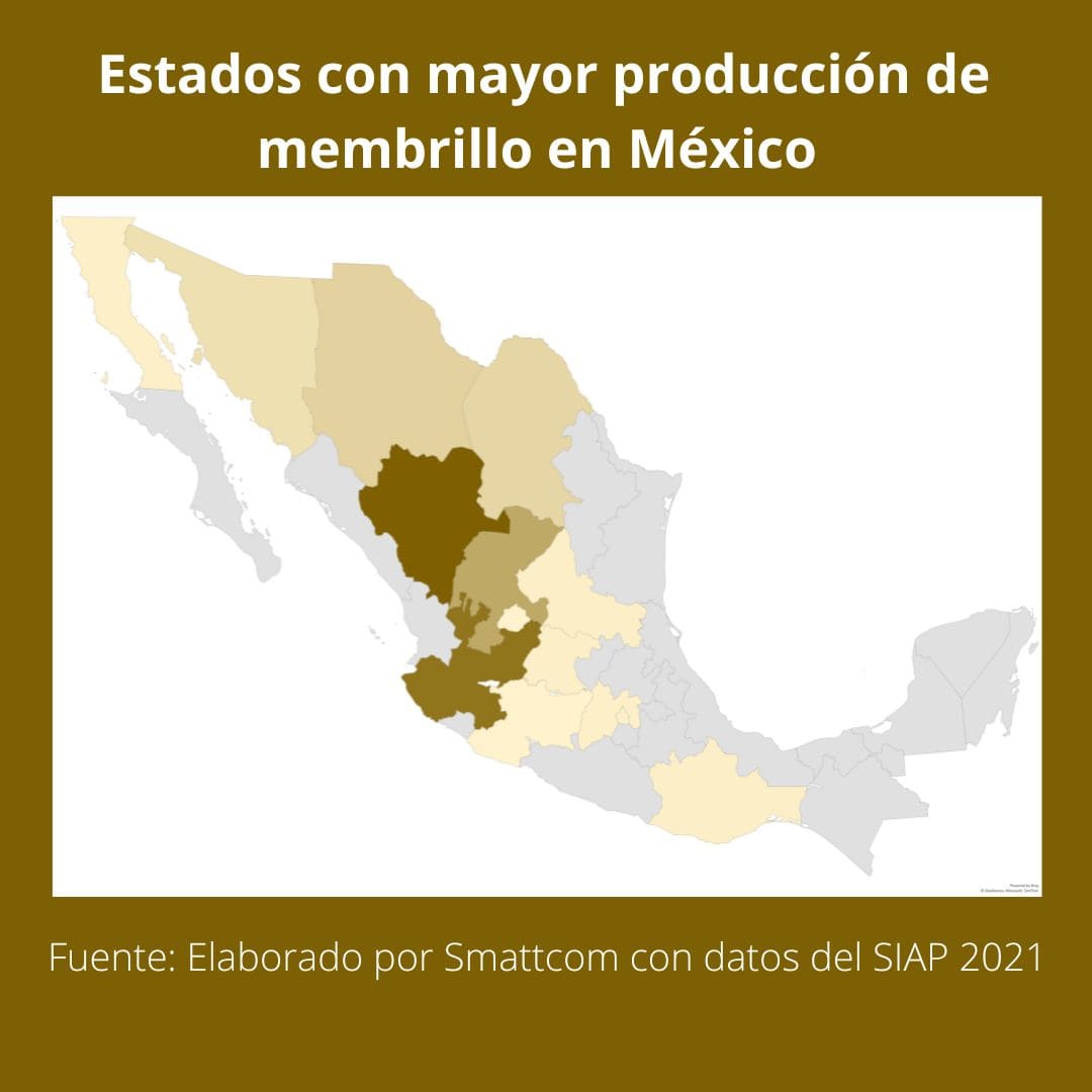 Consulta precios de Membrillo y comercialízalo  en Smattcom