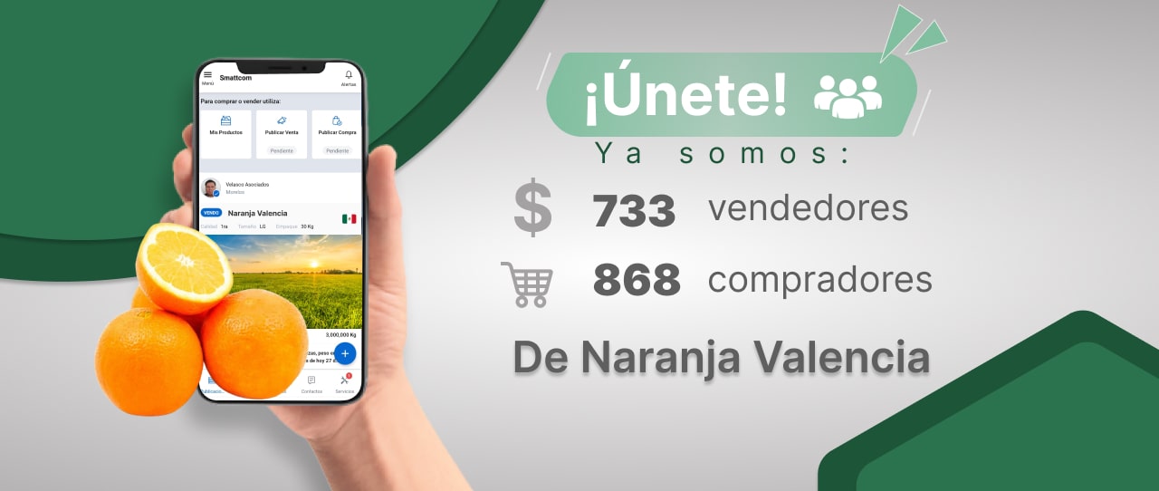 Consulta precios de Naranja Valencia y comercialízala en Smattcom