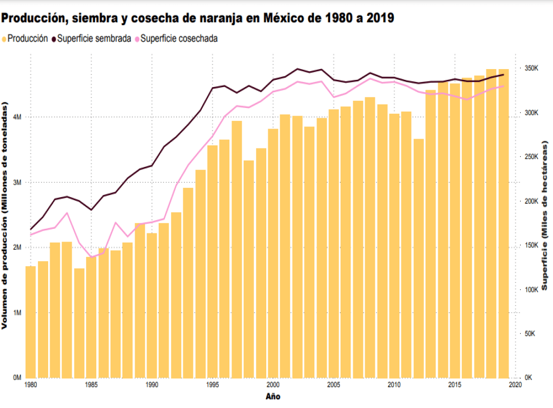 Consulta precios de Naranja Valencia y comercialízala en Smattcom