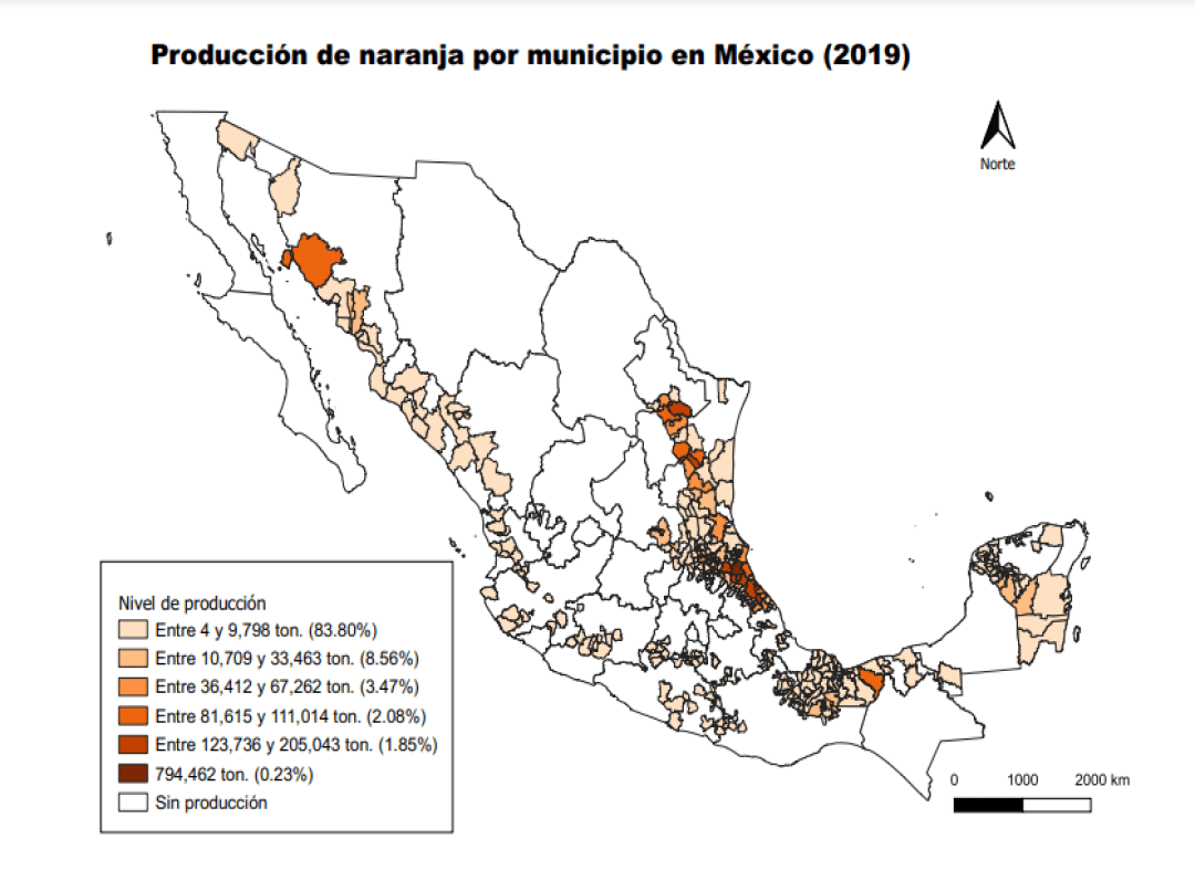 Consulta precios de Naranja Valencia y comercialízala en Smattcom