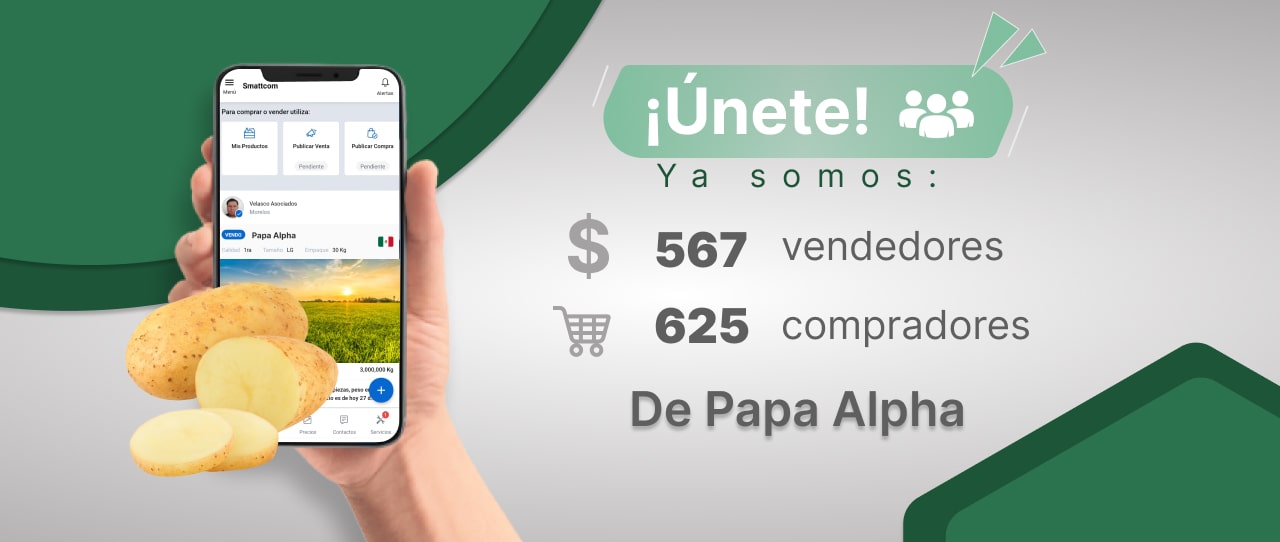 Consulta precios de Papa Alpha y comercialízala  en Smattcom