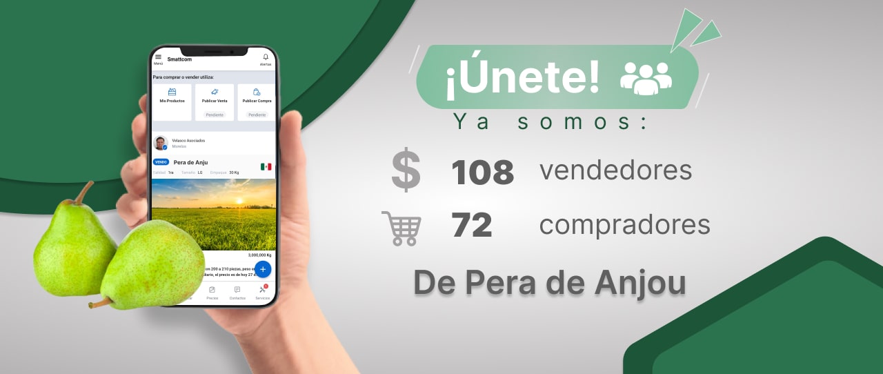 Consulta el Precio de Pera de Anjou y comercialízalo en Smattcom