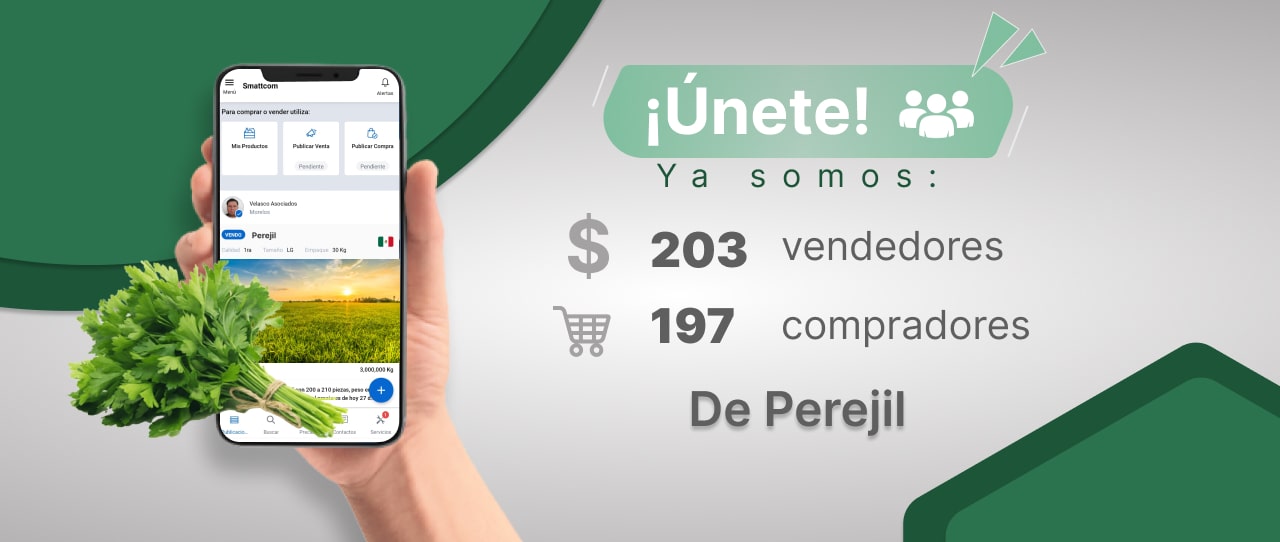 Consulta precios de Perejil y comercialízalo en Smattcom
