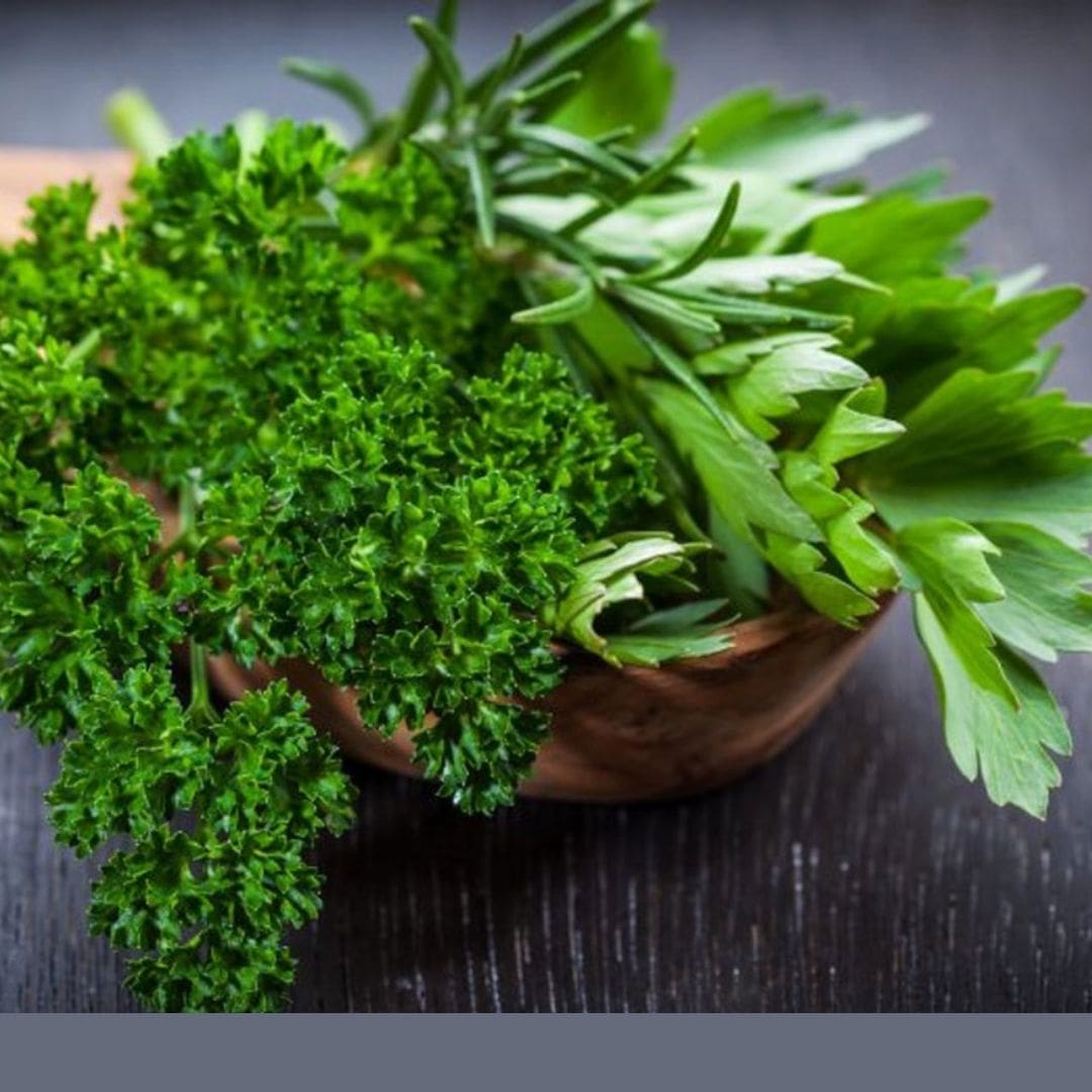 Consulta precios de Perejil y comercialízalo en Smattcom