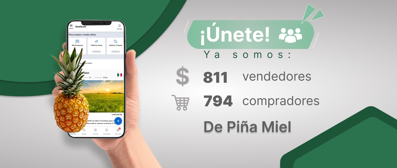 Consulta el Precio de Acelga Lisa y comercialízalo en Smattcom