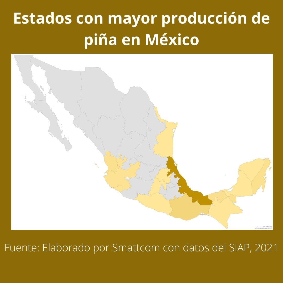 Consulta precios de Piña Miel y comercialízala en Smattcom