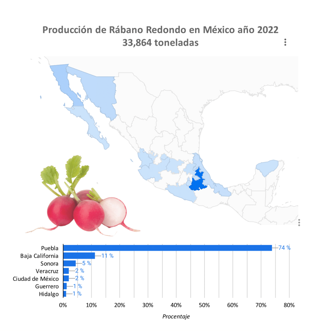 Producción Rábano