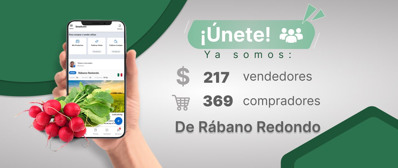 Consulta precios de Rábano y comercialízalo  en Smattcom