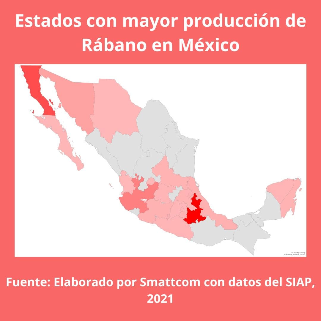 Consulta precios de Rábano y comercialízalo  en Smattcom