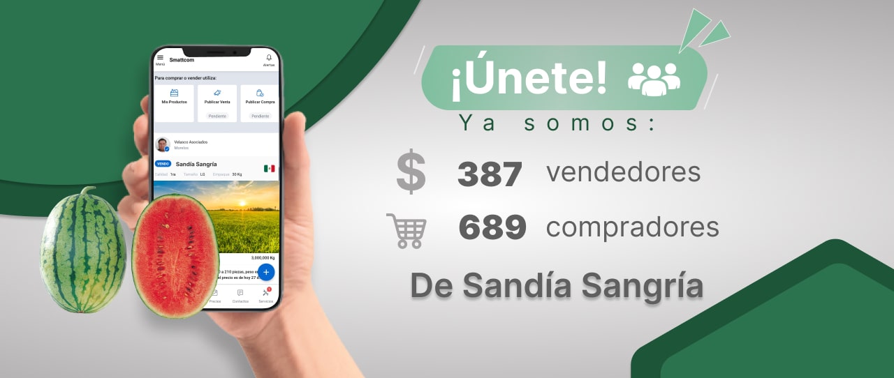Consulta precio de Sandía Sangría y comercialízala en Smattcom