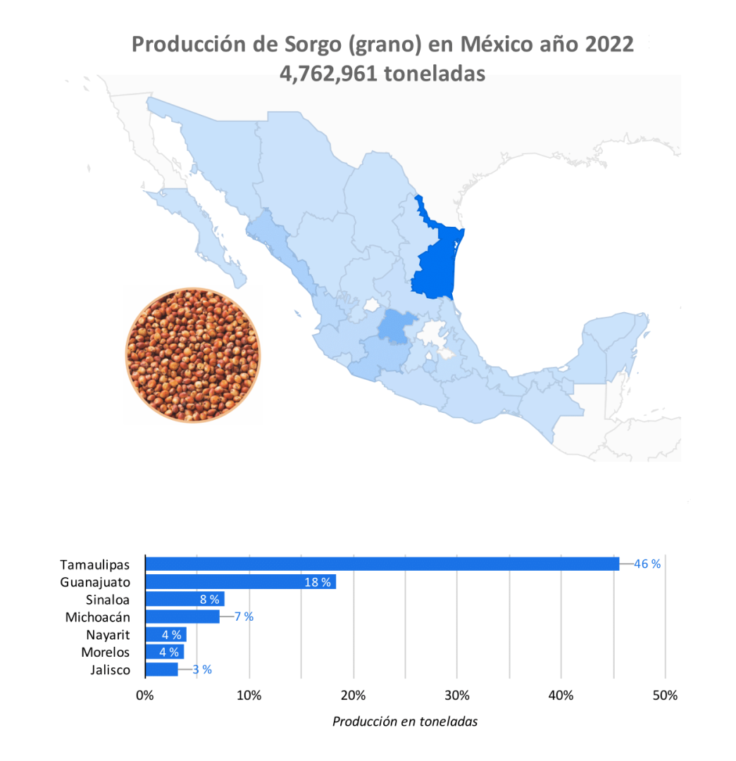 producción sorgo