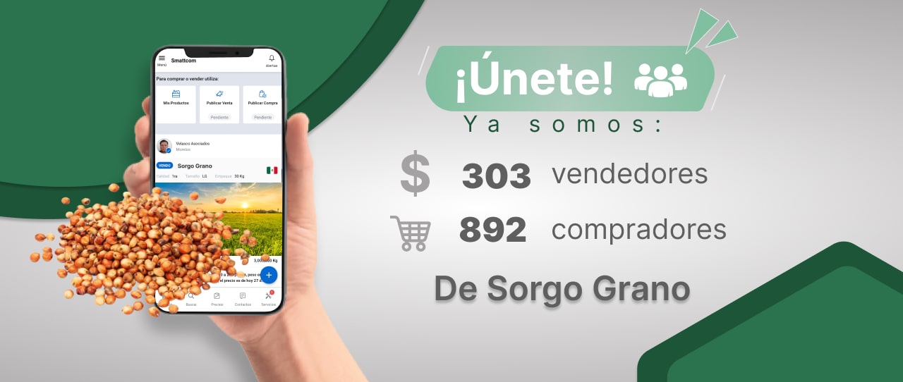Consulta precios de Grano y comercialízalo en