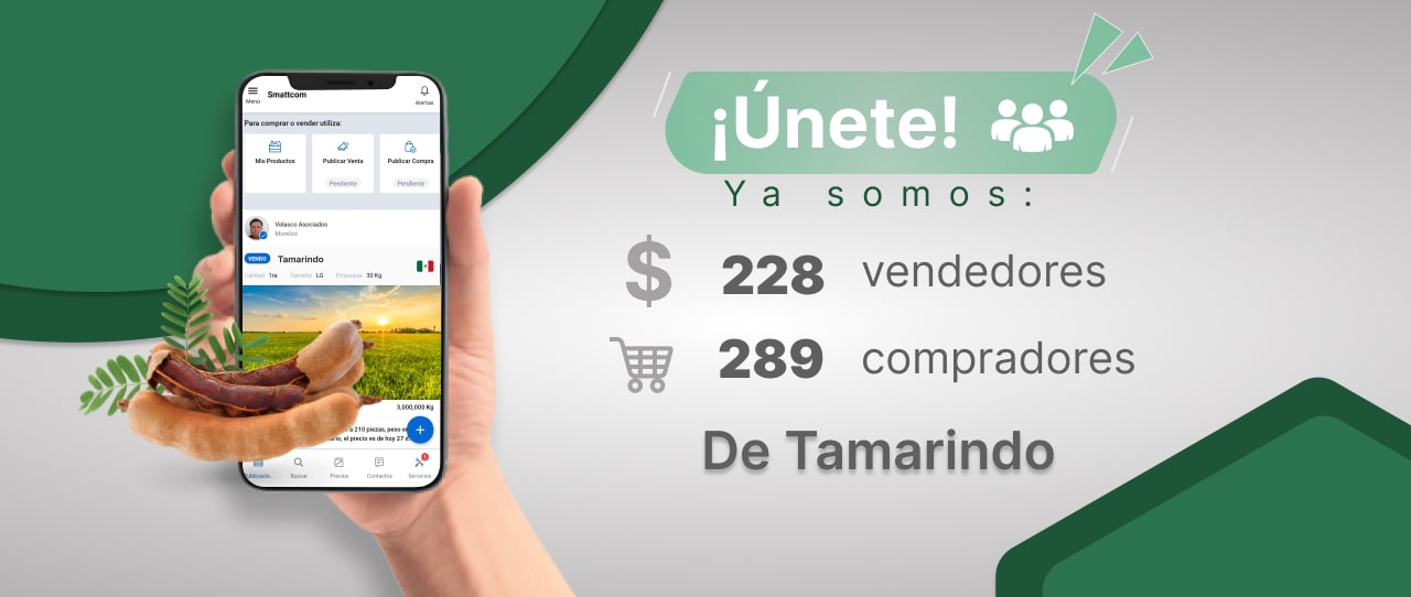 Consulta precios de Tamarindo y comercialízalo en Smattcom