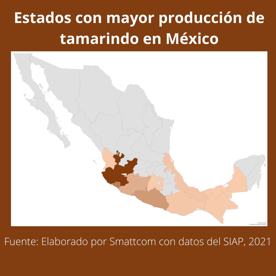 Consulta precios de Tamarindo y comercialízalo en Smattcom