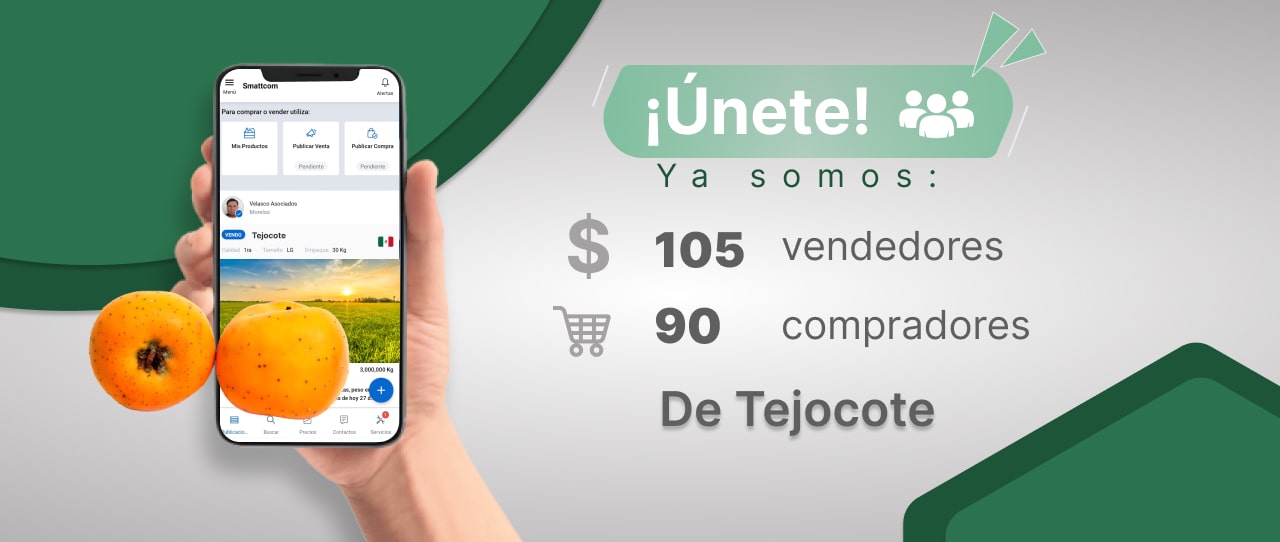Consulta precios de Tejocote y comercialízalo  en Smattcom