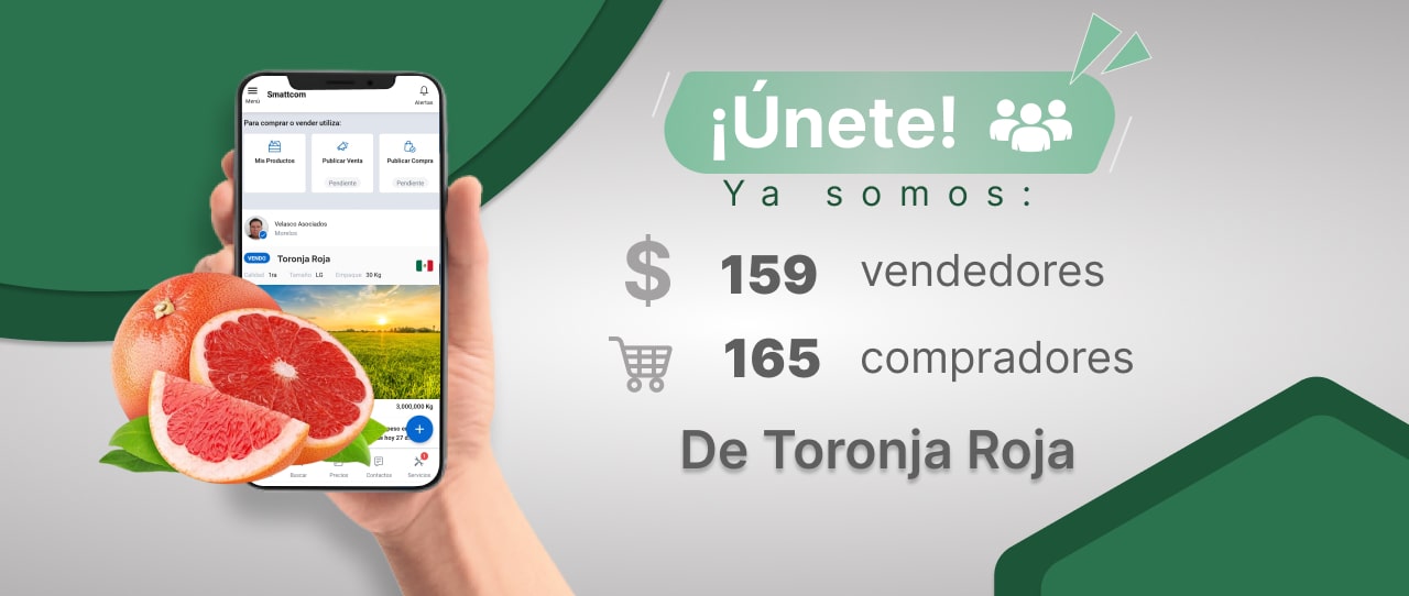 Consulta precios de Toronja Roja y comercialízala en Smattcom