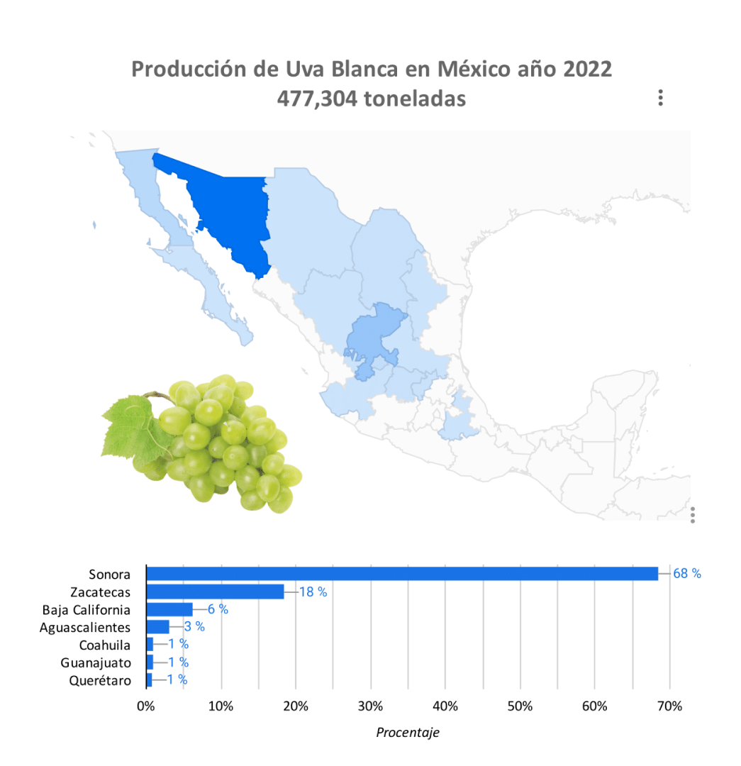 Producción Uva
