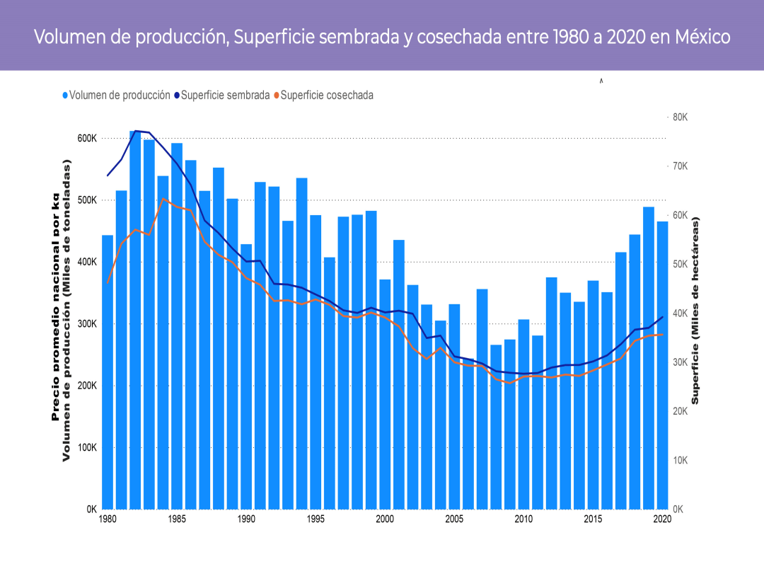 Consulta precios de Uva Blanca y comercialízala en Smattcom