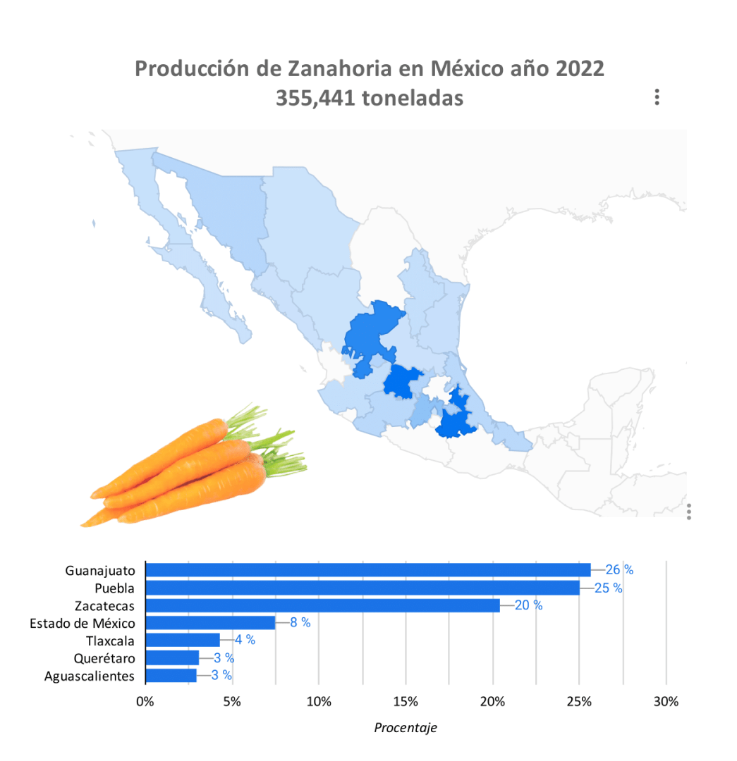producción zanahoria