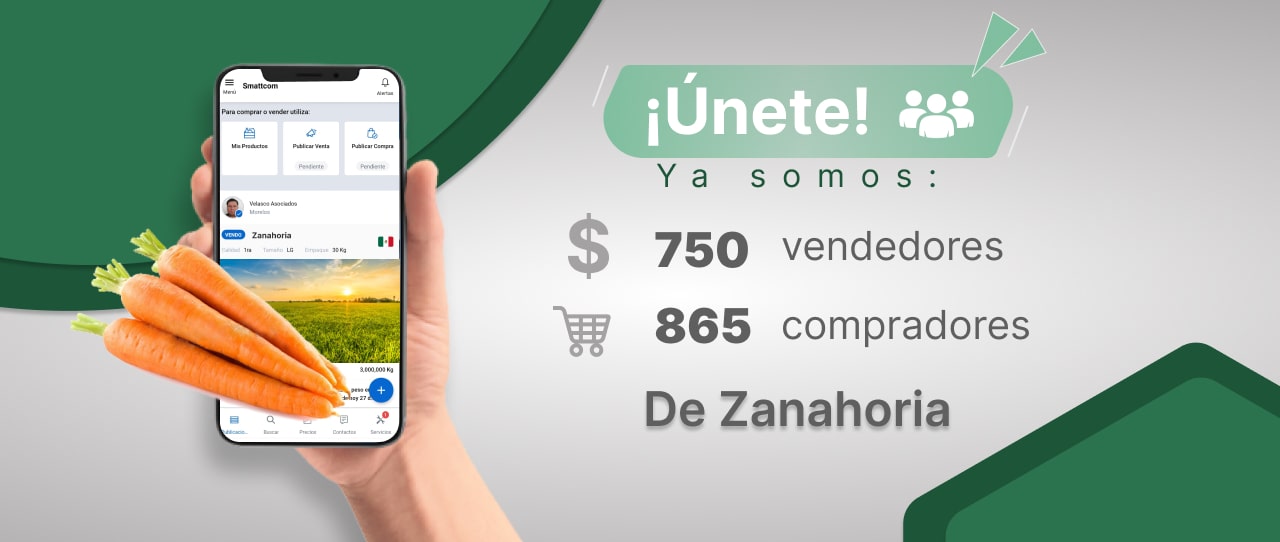 Consulta precios de Zanahoria y comercialízala en Smattcom