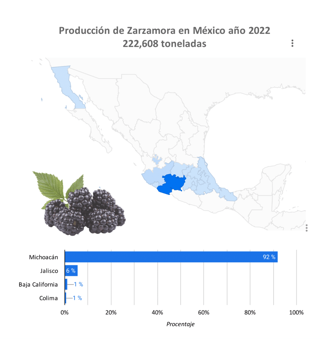 Producción Zarzamora