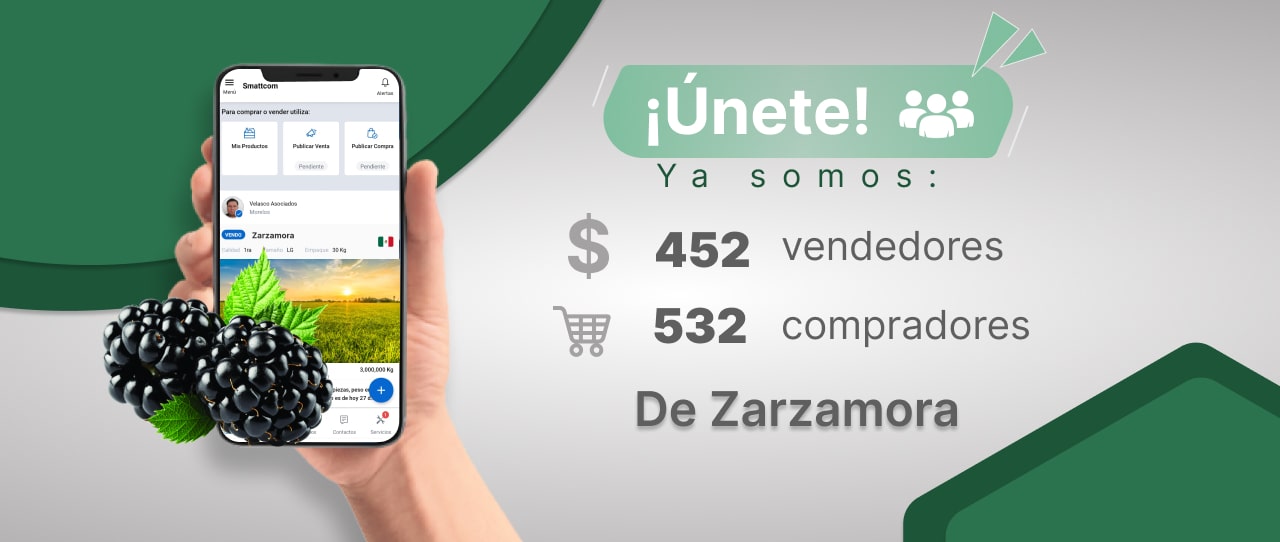 Consulta precios de Zarzamora y comercialízala en Smattcom