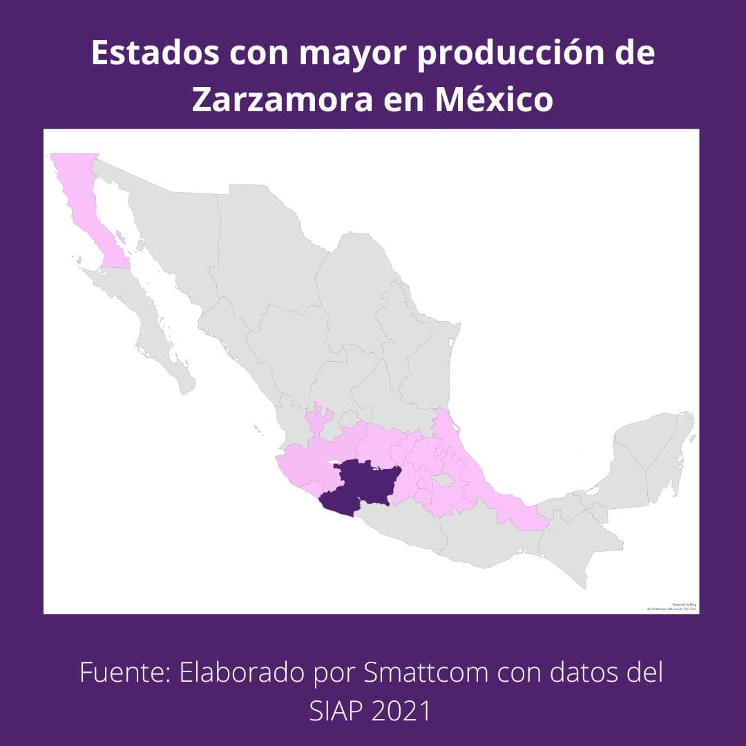 Consulta precios de Zarzamora y comercialízala en Smattcom