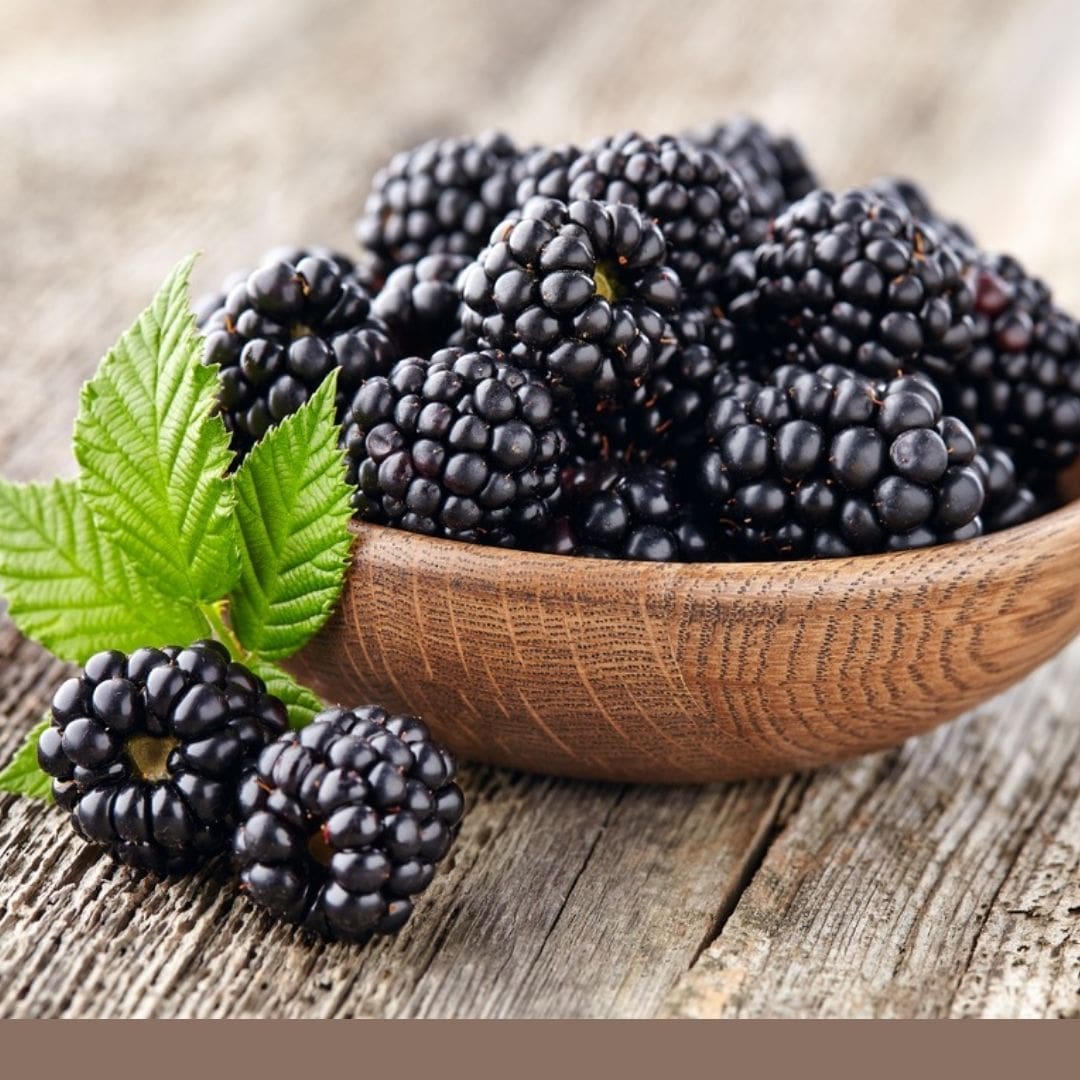 Consulta precios de Zarzamora y comercialízala en Smattcom