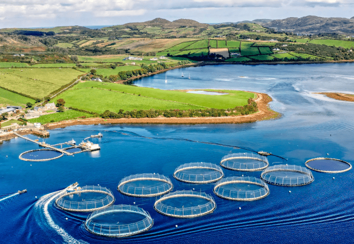 Acuicultura en México: especies clave y estados líderes | Smattcom