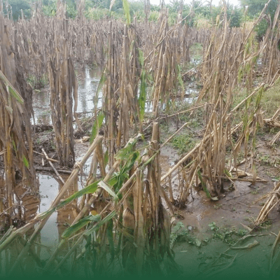 Inundaciones en Veracruz