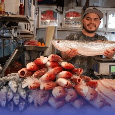 Compra y vende productos del mar en Smattcom