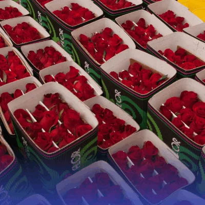 Arreglos florales en febrero ayudan a elevar márgenes