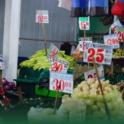 Panorama agrícola de 2026