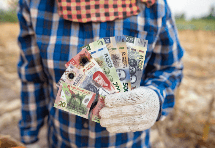 Precios altos: un problema constante ¿para quién? | Smattcom