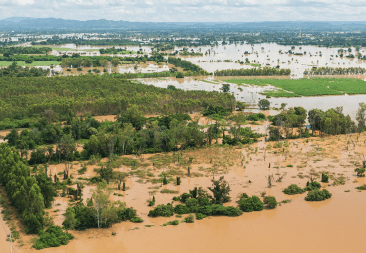 Protege tu cultivo y tus ventas bajo lluvias extremas | Smattcom